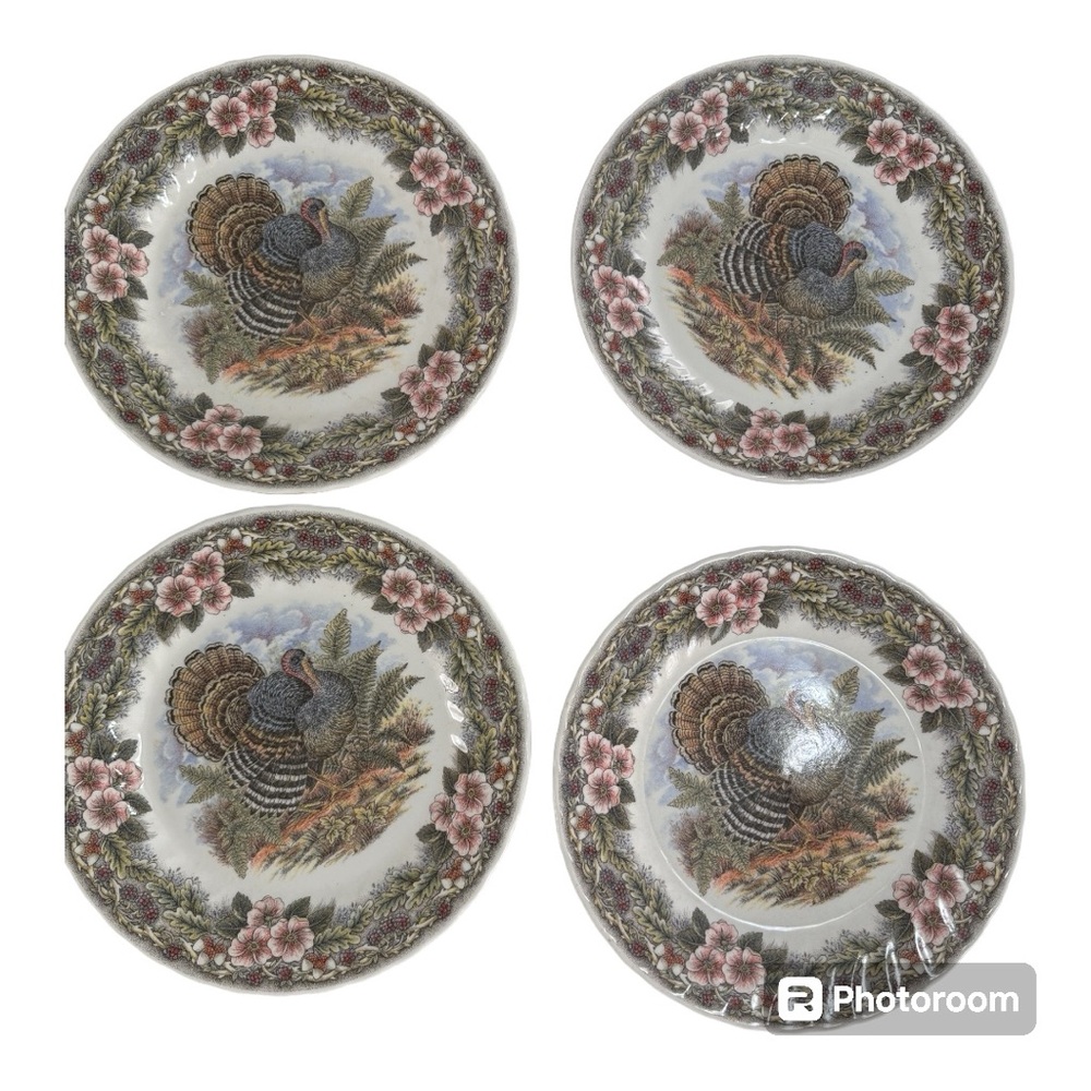 4 Plates Queen’s Myott Factory Archive Illustrations Thanksgiving